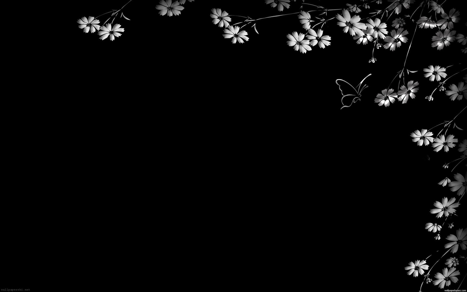 صور سوداء خلفيات سوداء ساده للتصميم