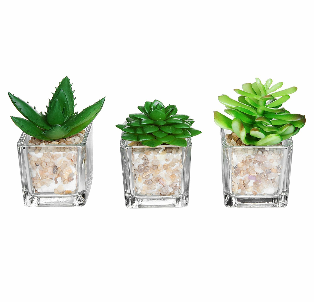 Julz Treasure Chest Dollar Tree Designs