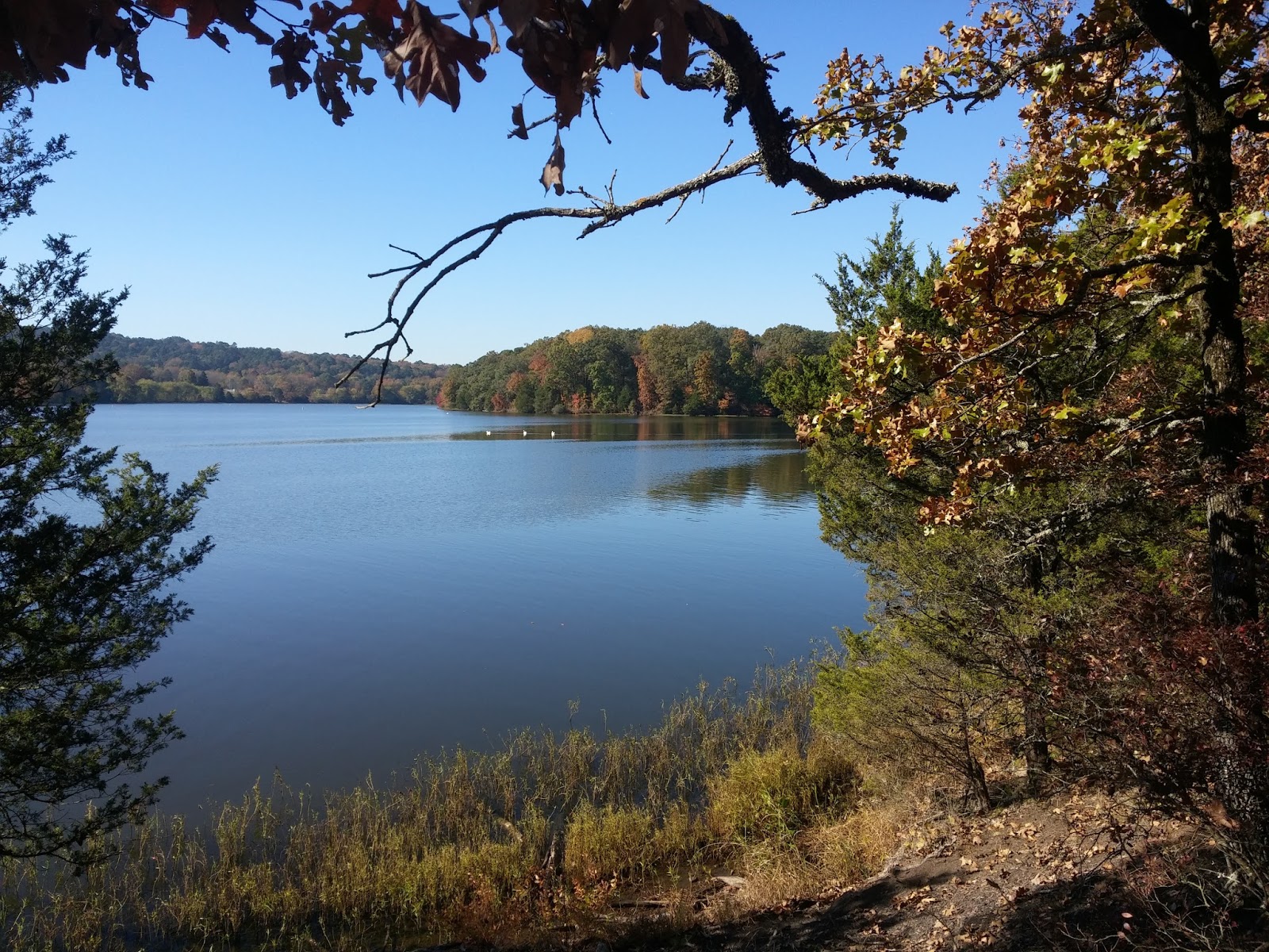 Rick's Hiking Blog Illinois Bayou and Ouita Coal Company trails