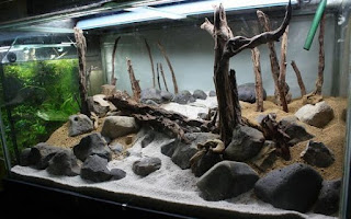 200 Referensi Desain Dan Model Aquascape Berdasarkan Tema https://www.faktapopuler.com/2018/12/200-referensi-desain-dan-model.html