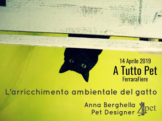 Design4Pet A Tutto Pet Ferrara