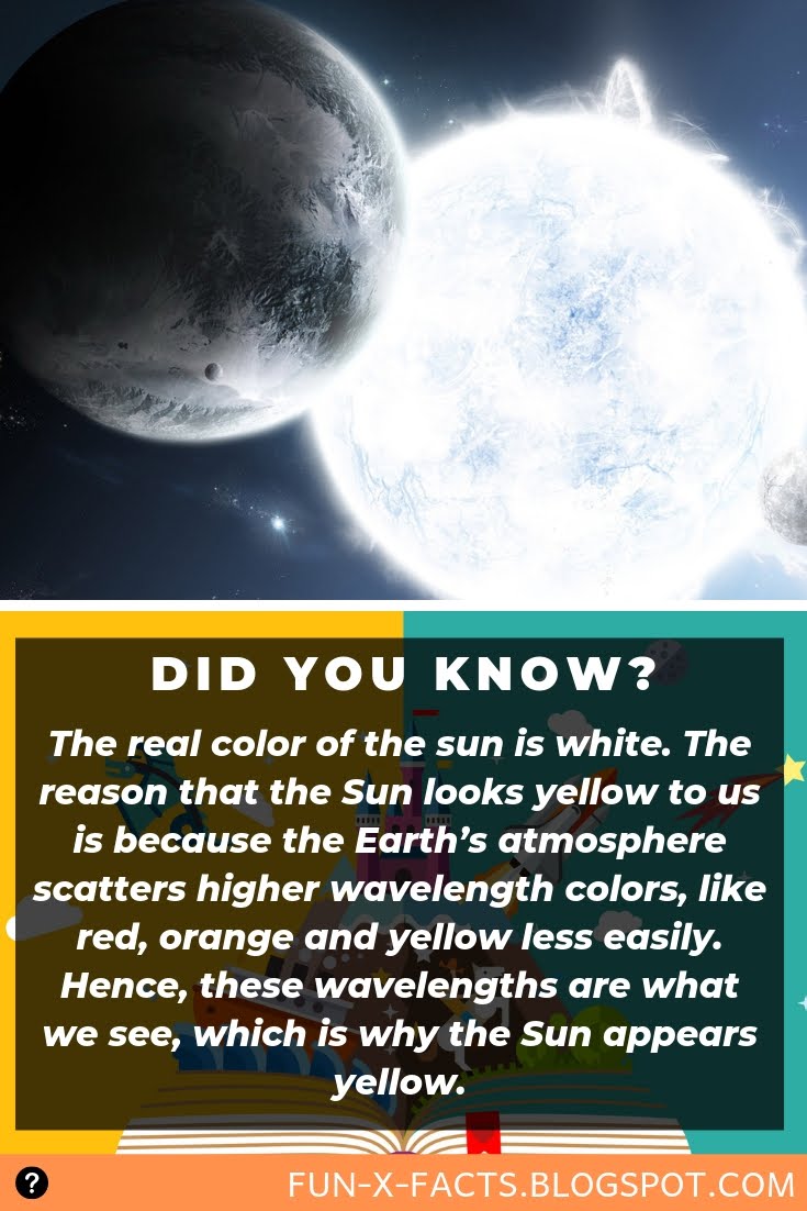 The real color of the sun is white. It just appears yellow to us due to