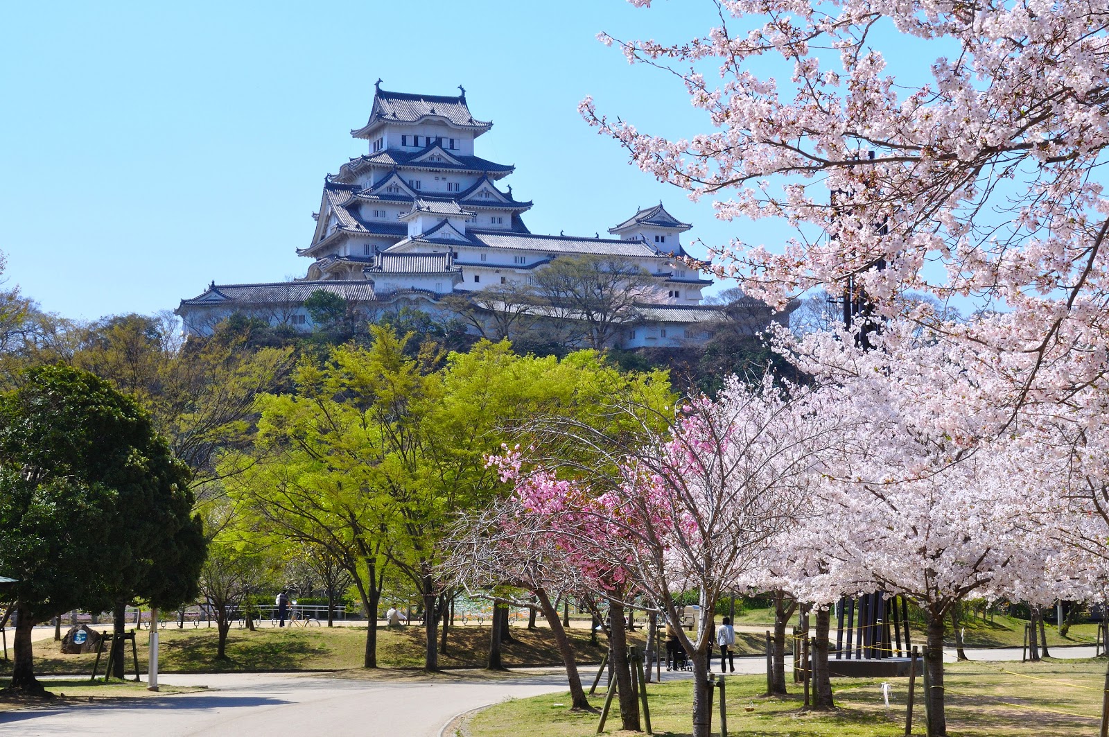 Himeji Castle week2 a world cultural heritage