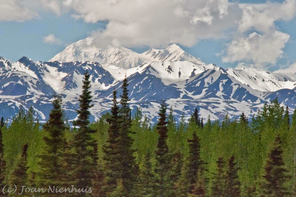 Pacific Northwest Photography Broad Pass, Alaska