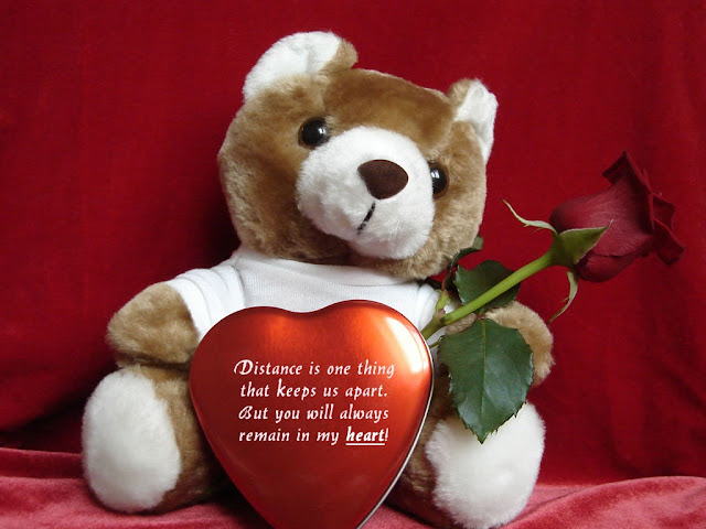 Teddy Day Photos Teddy Day, Teddy Day quotes, Teddy Day wallpapers, Teddy Day images, Teddy Day 2017, happy Teddy Day, Teddy Day wishes, Teddy Day greetings, Teddy Day status