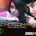 Cholonay Lyrics - Hridmohini | Tanjib Sarowar, Dilshad Nahar Kona