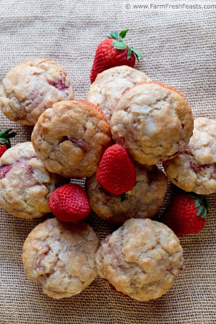 A tender muffin enriched with vanilla yogurt and local strawberries, sweetened with a touch of vanilla sugar on top.