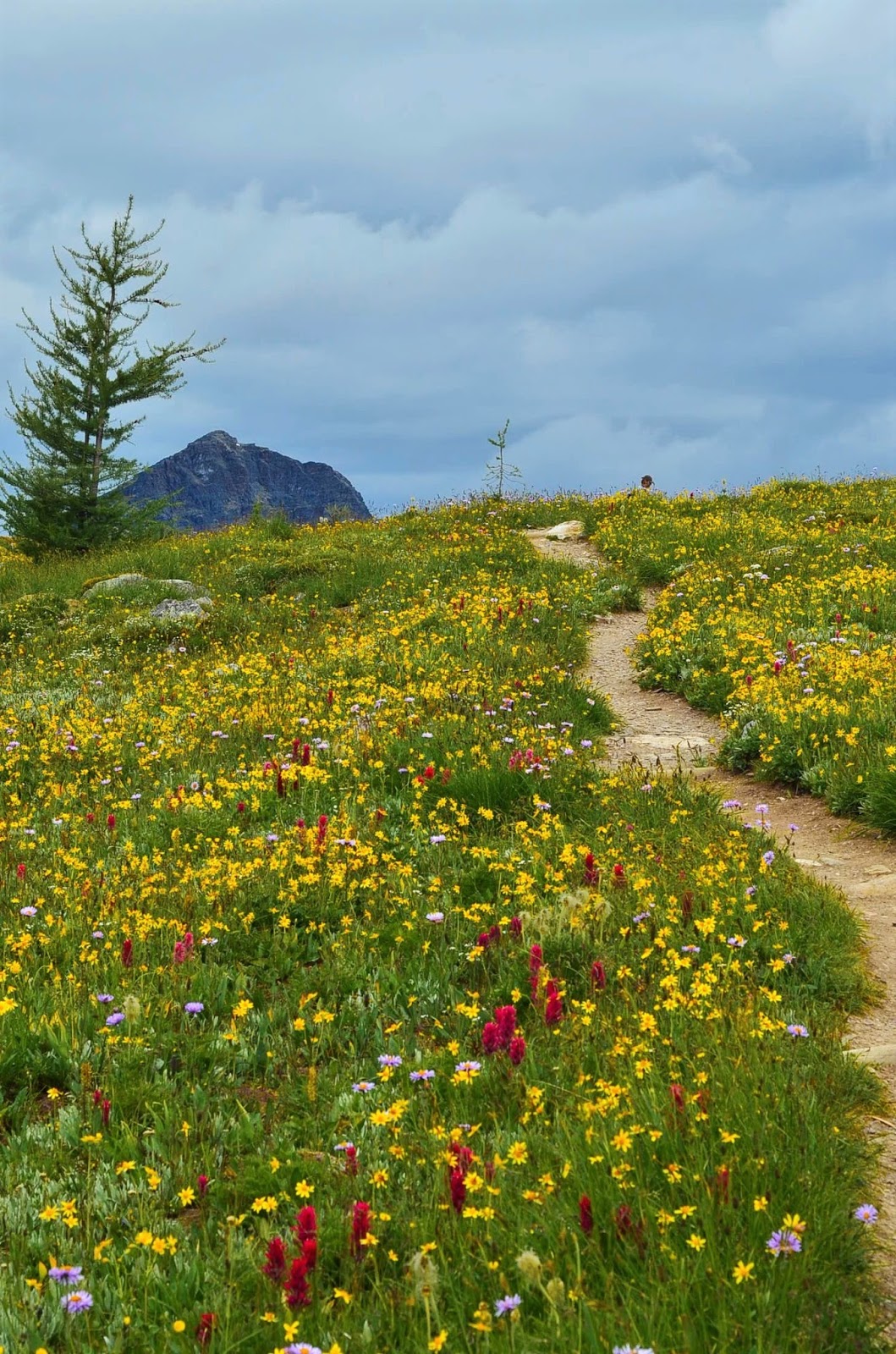 The Best Short Hikes in Banff National Park Part 1 Banff Area