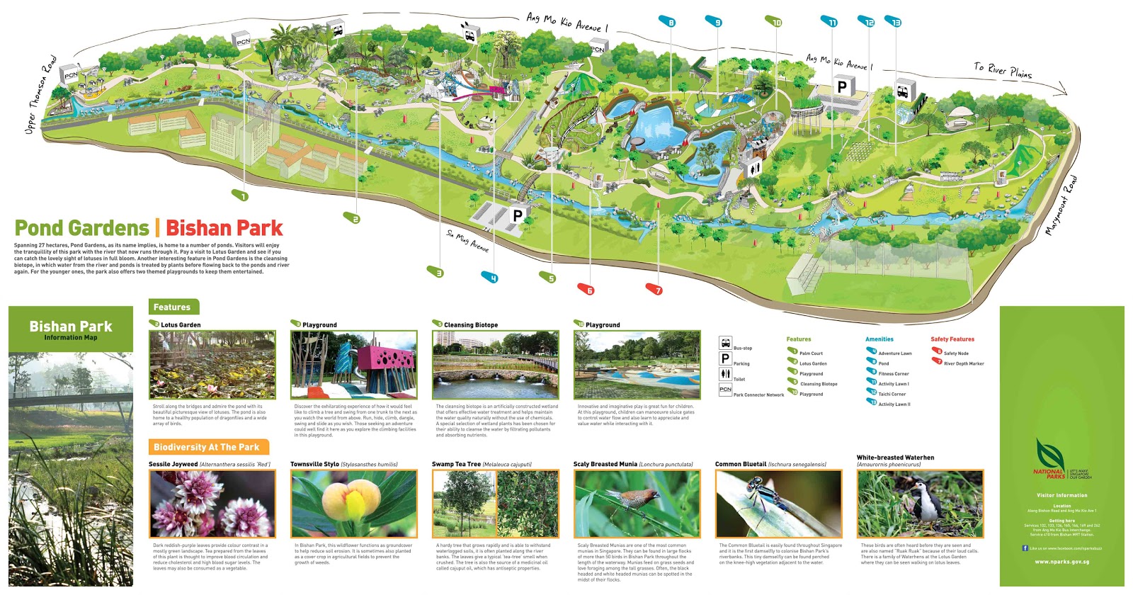 Bishan Ang Mo Kio Park Pond Gardens and Playground - Nature with Kids