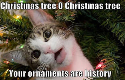religious christmas memes religious christmas memes