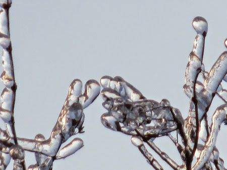 2013 Ice Storm Brampton, ON