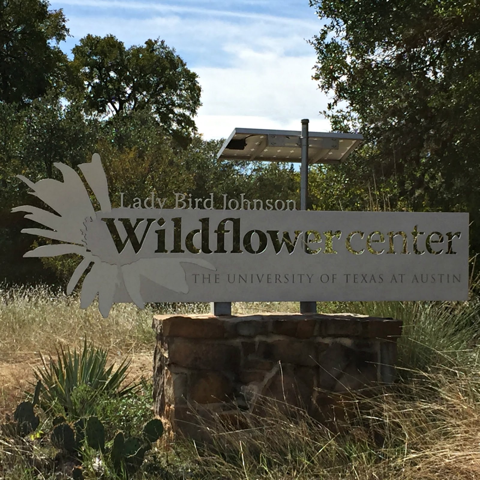 Plant a Wildflower Meadow - Lady Bird Johnson Wildflower Center