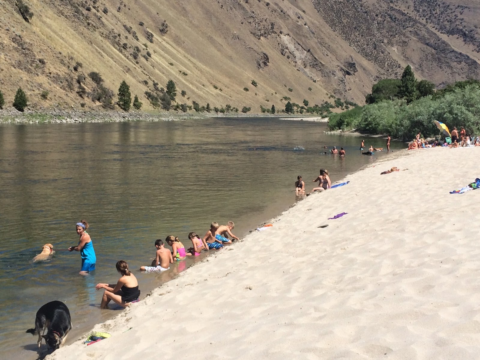 The find a job/stamp out texting while driving/use no chain oil across