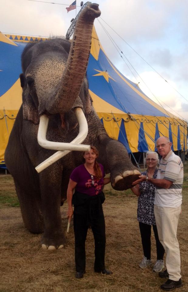 THE BALLOON MAN: PATRICIA ZERBINI