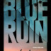 Blue Ruin (2013)