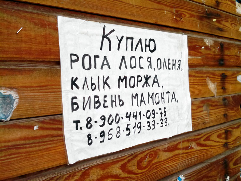 эссо_камчатка