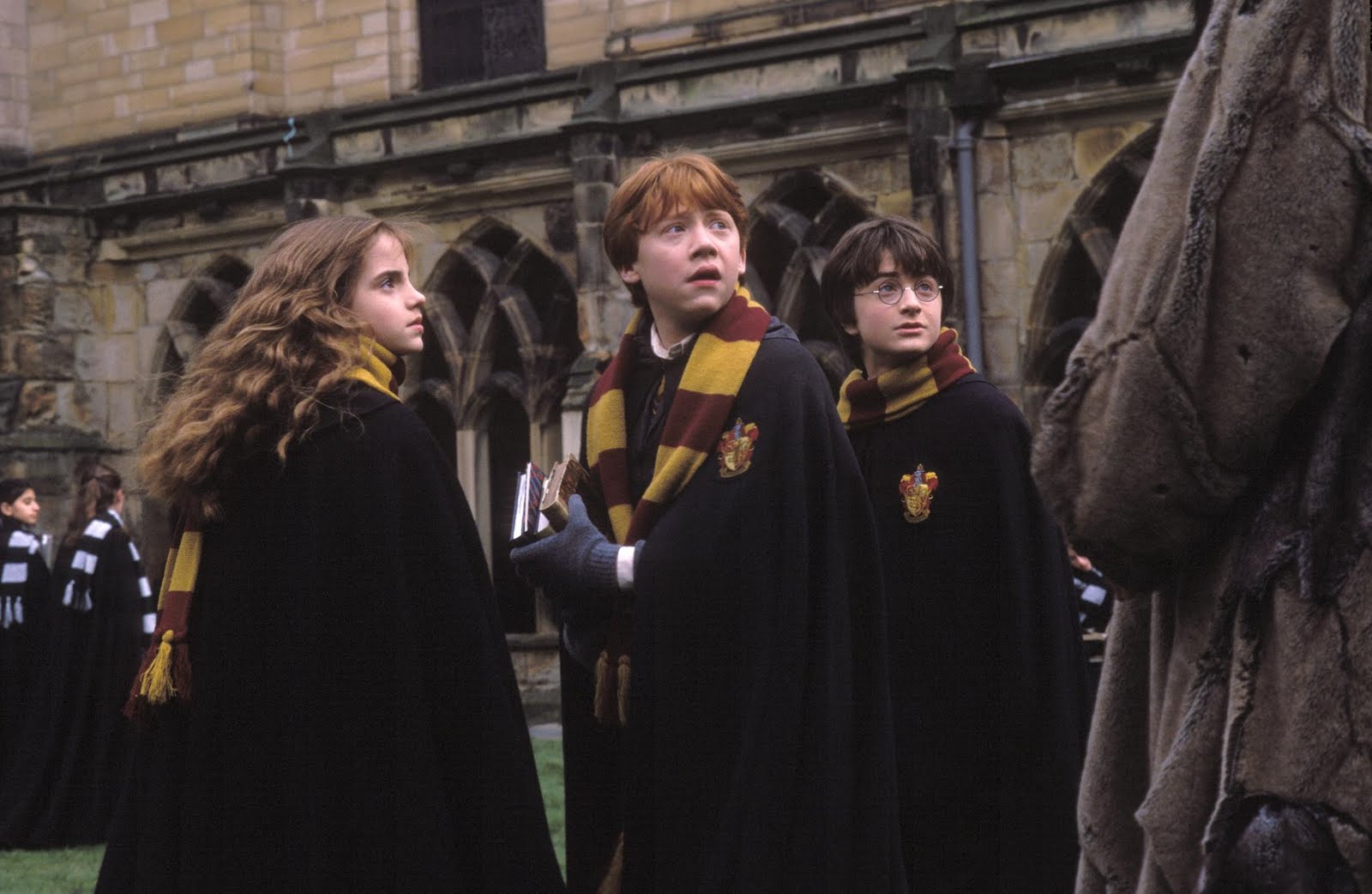 Reseña Harry Potter y la cámara secreta Foreverland El paraíso para siempre