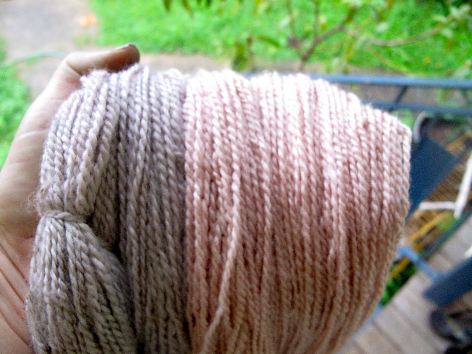 dash robin Wool red cabbage dyeing & landscape dyes