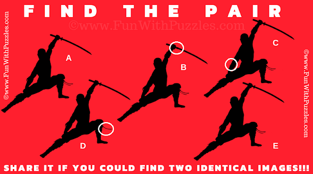 Engaging Find the Pair Visual Puzzle - Answer