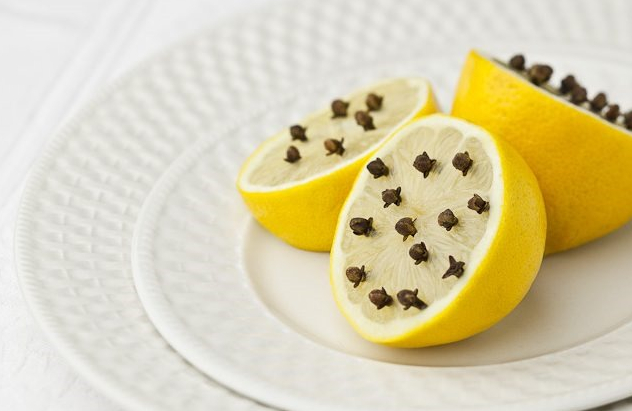 Natural Home Remedies For Mosquitoes Natural Home Remedies For Mosquitoes