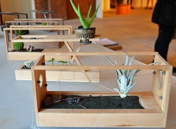 Designs, cool accessories and ornaments that fascinate you