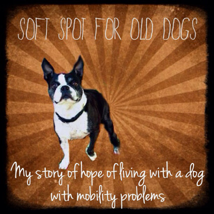 Soft Spot for Old Dogs