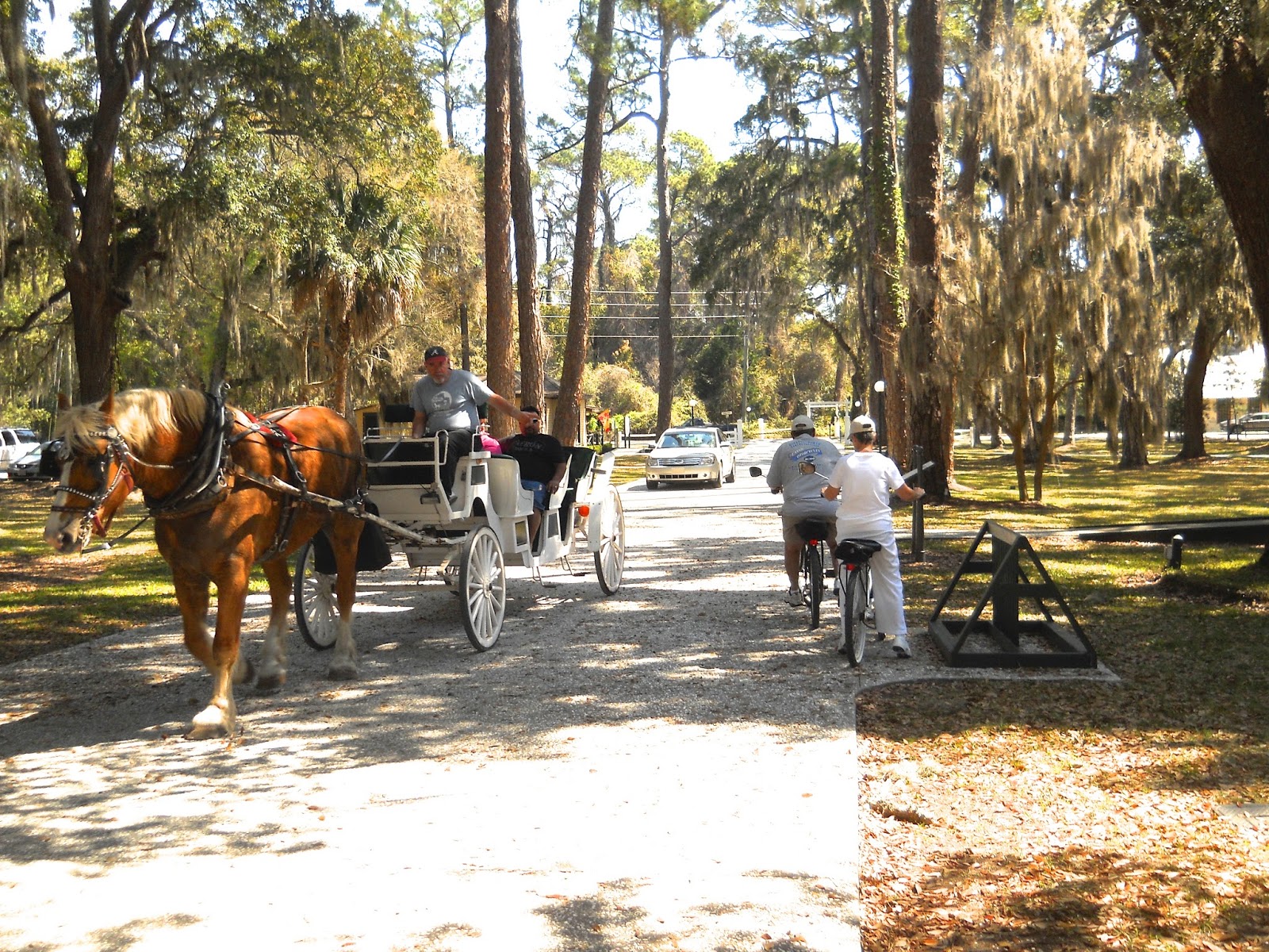 Chuck's Adventures Jekyll Island Biking