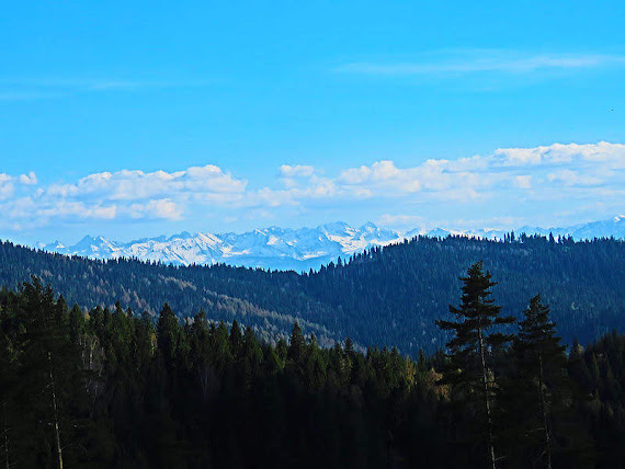Tatry z Polany Przysłop Tatry z Polany Przysłop