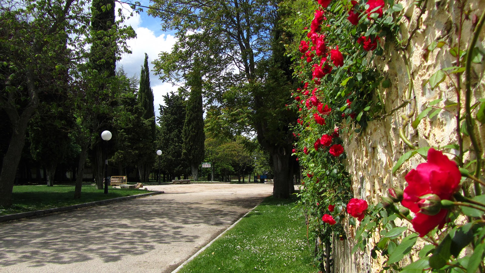 Rosas en el Parque del Castillo_ameiseblog Rosas en el Parque del Castillo_ameiseblog