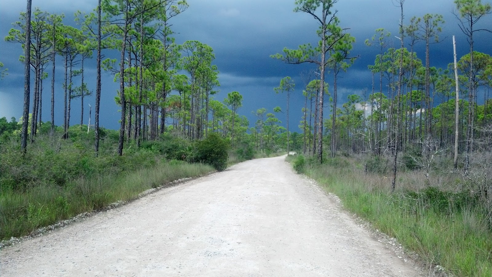 Life S A Trip Crooked Island Florida Life S A Trip