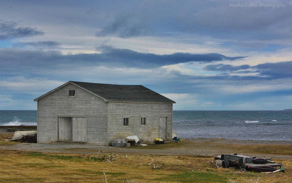 A Newfoundland Visual Martha Collier Photography