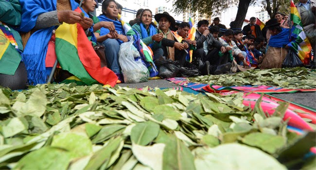 12 de marzo: Día del Acullico en Bolivia