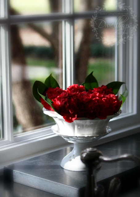 Red camellia in vintage cut flower pot.