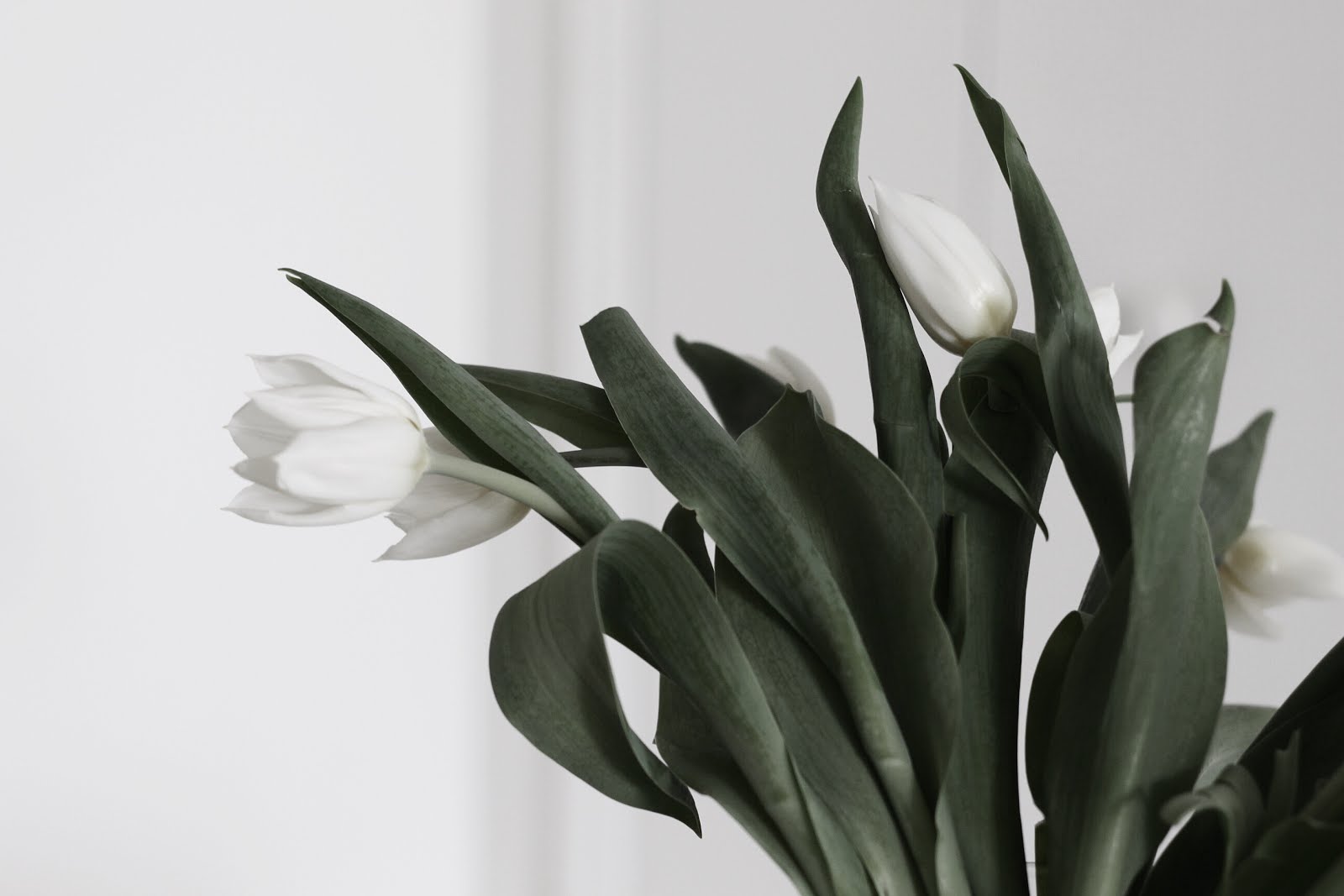 Gift Ideas for 10 type of MOMS (Incl Yours)