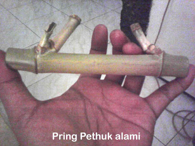 Info Blog, Pring Pethuk