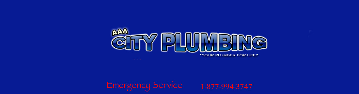 Aaa City Plumbing Inc Your Plumber For Life