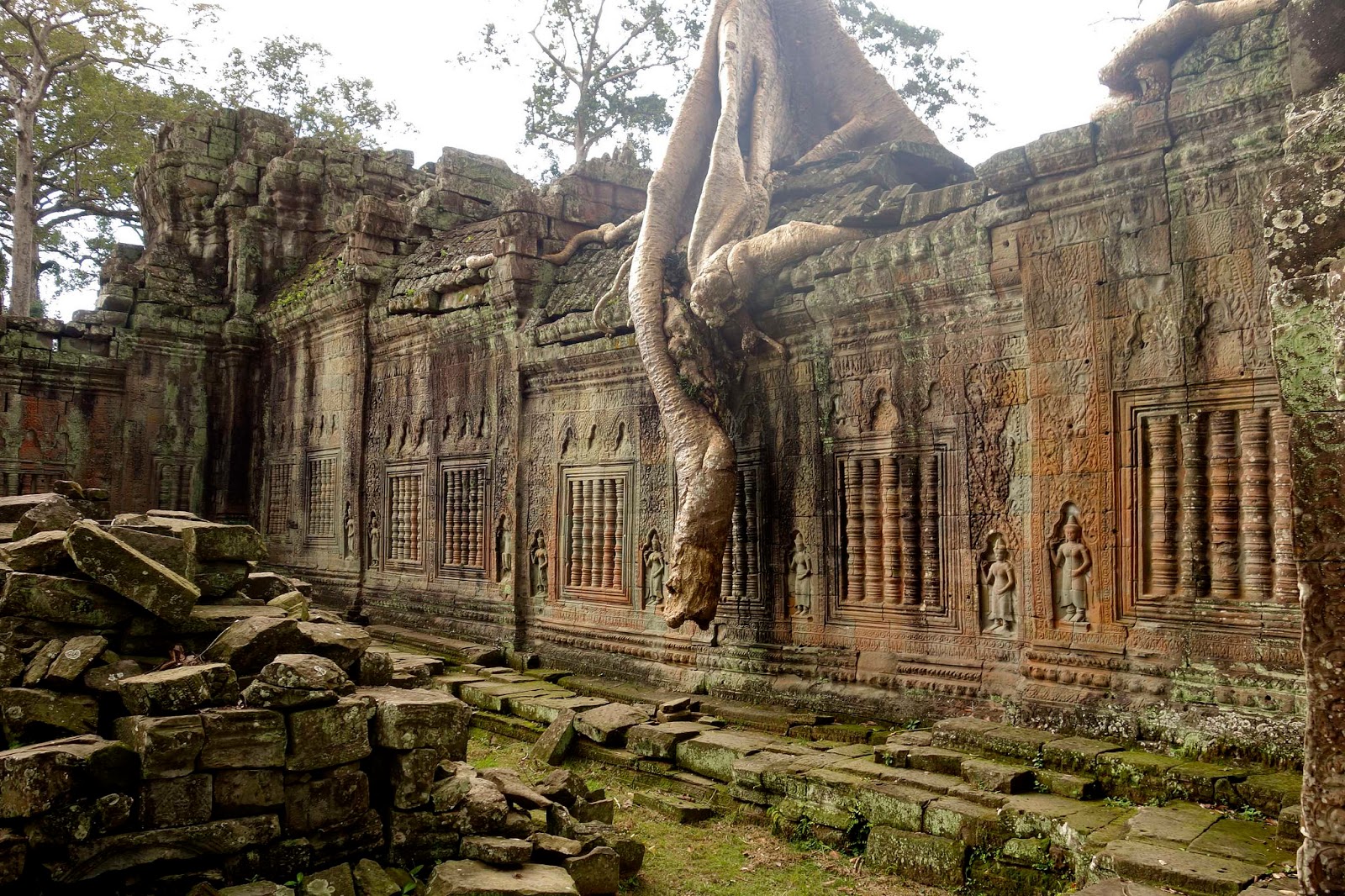 Камбоджа храмы в джунглях