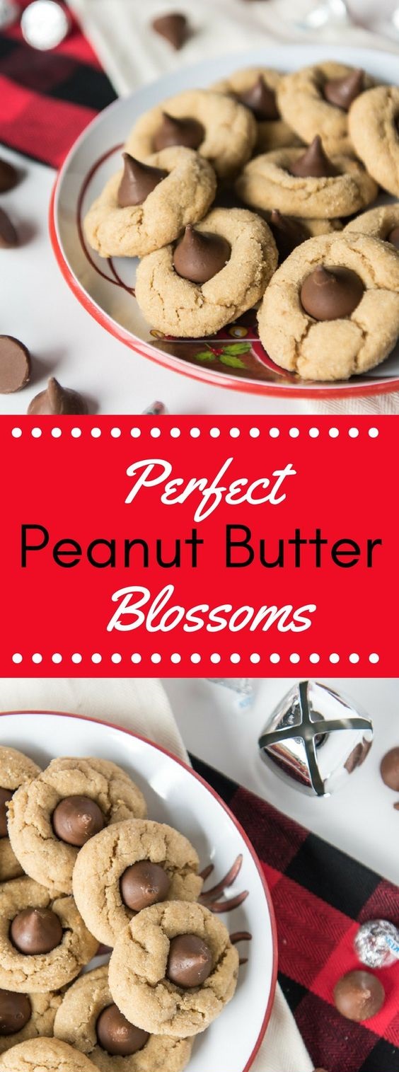 PERFECT PEANUT BUTTER BLOSSOMS #Food #Vegetarian #vegetarianrecipes #vegetarianrecipeshealthy #vegetarian meals #vegetarianchili #vegetarianmealprep #vegetarianrecipesdinner #vegetarianrecipesdinnereasy #vegetarianrecipeshighprotein #easyrecipes #recipes #CookbookRecipesEasy #HealtyRecipes #fishrecipes #moquecabrazilian #fish stew #foodRecipes #foodburgers #fooddrinkrecipeS #Cooker #masonjar #healthy #recipes #greatist #vegetarian #breakfast #brunch #legumes #chicken #casseroles #tortilla #homemade #popularrcipes #poultry #delicious #pastafoodrecipes #Easy #Spices #ChopSuey #Soup #Classic #gingerbread #ginger #cake #classic #baking #dessert #recipes #christmas #dessertrecipes #Vegetarian #Food #Fish #Dessert #Lunch #Dinner #SnackRecipes #BeefRecipes #DrinkRecipes #CookbookRecipesEasy #HealthyRecipes #AllRecipes #ChickenRecipes #CookiesRecipes #ріzzа #pizzarecipe #vеgеtаrіаn #vegetarianrecipes #vеggіеѕ #vеgеtаblеѕ #grееnріzzа #vеggіеріzzа #feta #pesto #artichokes #brоссоlіSаvе #recipesfordinner #recipesfordinnereasy #recipeswithgroundbeef #recipeseasy #recipesfordinnerhealth #AngeliqueRecipes #RecipeLion #Recipe #RecipesFromTheBlog #RecipesyouMUST #RecipesfromourFavoriteBloggers #BuzzFeed #Tasty #BuzzFeed #Tasty #rice #ricerecipes #chicken #dinner #dinnerrecipes #easydinner #friedrice #veggiespeas #broccoli #cauliflower #vegies, #vegetables #dinnerrecipes #dinnerideas #dinner #dinnerrecipeseasy #dinnerrecipesforfamily #TheDinnerMom #DinnerthenDessert #DinnerattheZoo #QuickandEasyRecipes #DinnerattheZooRecipes #DINNERRecipes #DinnerRecipesSimpleMeals #foodrecipes #fooddinner #Healthandmanymore #FoodWine #Cakes #Lifestyle #Food #FoodandFancies #FoodBloggers entralSHARINGBoard PERFECT PEANUT BUTTER BLOSSOMS #Food #Vegetarian #vegetarianrecipes #vegetarianrecipeshealthy #vegetarian meals #vegetarianchili #vegetarianmealprep #vegetarianrecipesdinner #vegetarianrecipesdinnereasy #vegetarianrecipeshighprotein #easyrecipes #recipes #CookbookRecipesEasy #HealtyRecipes #fishrecipes #moquecabrazilian #fish stew #foodRecipes #foodburgers #fooddrinkrecipeS #Cooker #masonjar #healthy #recipes #greatist #vegetarian #breakfast #brunch #legumes #chicken #casseroles #tortilla #homemade #popularrcipes #poultry #delicious #pastafoodrecipes #Easy #Spices #ChopSuey #Soup #Classic #gingerbread #ginger #cake #classic #baking #dessert #recipes #christmas #dessertrecipes #Vegetarian #Food #Fish #Dessert #Lunch #Dinner #SnackRecipes #BeefRecipes #DrinkRecipes #CookbookRecipesEasy #HealthyRecipes #AllRecipes #ChickenRecipes #CookiesRecipes #ріzzа #pizzarecipe #vеgеtаrіаn #vegetarianrecipes #vеggіеѕ #vеgеtаblеѕ #grееnріzzа #vеggіеріzzа #feta #pesto #artichokes #brоссоlіSаvе #recipesfordinner #recipesfordinnereasy #recipeswithgroundbeef #recipeseasy #recipesfordinnerhealth #AngeliqueRecipes #RecipeLion #Recipe #RecipesFromTheBlog #RecipesyouMUST #RecipesfromourFavoriteBloggers #BuzzFeed #Tasty #BuzzFeed #Tasty #rice #ricerecipes #chicken #dinner #dinnerrecipes #easydinner #friedrice #veggiespeas #broccoli #cauliflower #vegies, #vegetables #dinnerrecipes #dinnerideas #dinner #dinnerrecipeseasy #dinnerrecipesforfamily #TheDinnerMom #DinnerthenDessert #DinnerattheZoo #QuickandEasyRecipes #DinnerattheZooRecipes #DINNERRecipes #DinnerRecipesSimpleMeals #foodrecipes #fooddinner #Healthandmanymore #FoodWine #Cakes #Lifestyle #Food #FoodandFancies #FoodBloggers entralSHARINGBoard
