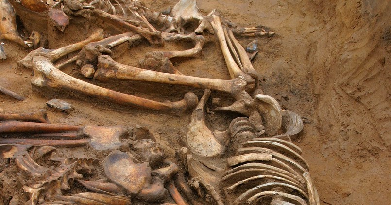 forensic-anthropologist-salary-forensic-investigation
