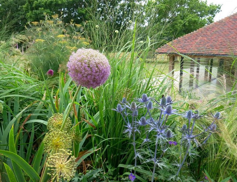 Cranbrook, Kent. Jardín casa de campo diseñada por Jo Thompson