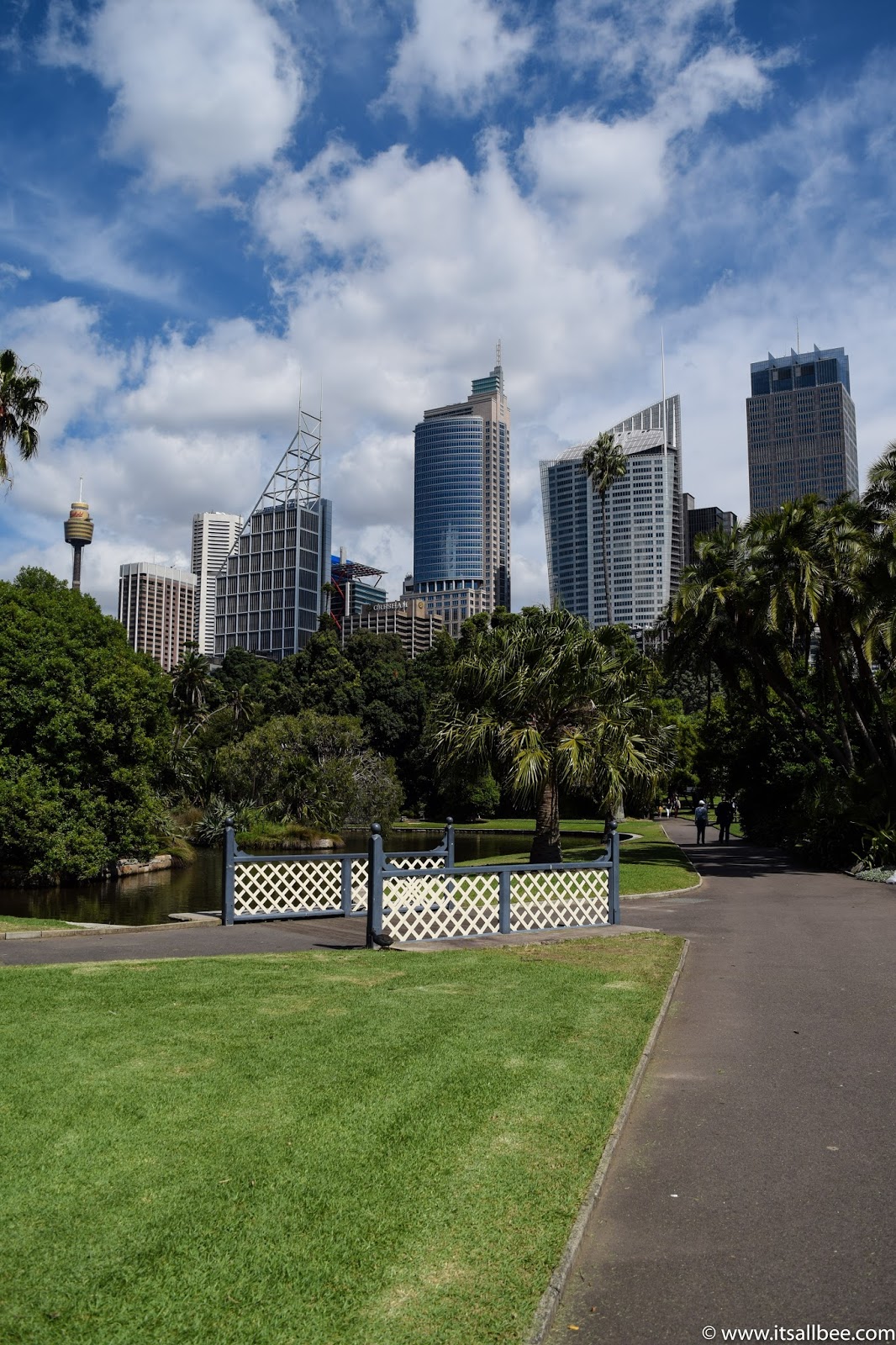 Sydney Botanical Gardens + Views From Mrs Macquarie's Chair 