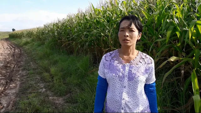 Image Attribute: Maw Maw Oo, 45, talks to reporters during a Reuters interview outside Yebu village in Shwenyaung township, Shan state, Myanmar in this still image taken from a August 26, 2016 video. REUTERS/Wa Lone