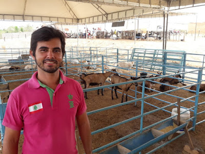 Fest Cabra de Porto da Folha reúne melhores animais da região Alto Sertão de SE Fest Cabra de Porto da Folha reúne melhores animais da região Alto Sertão de SE