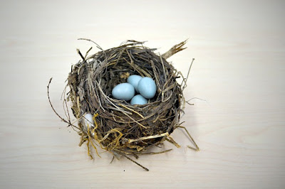 empty nest survival family togetherness