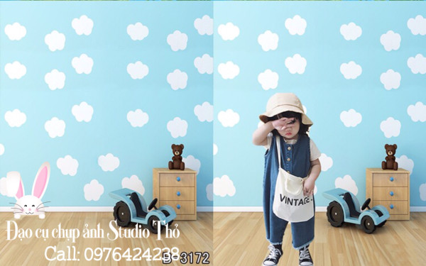 Địa chỉ bán phông 3D chụp ảnh cho bé giá rẻ tại Gia Lâm Dia chi ban phong 3D chup anh cho be gia re tai Gia Lam