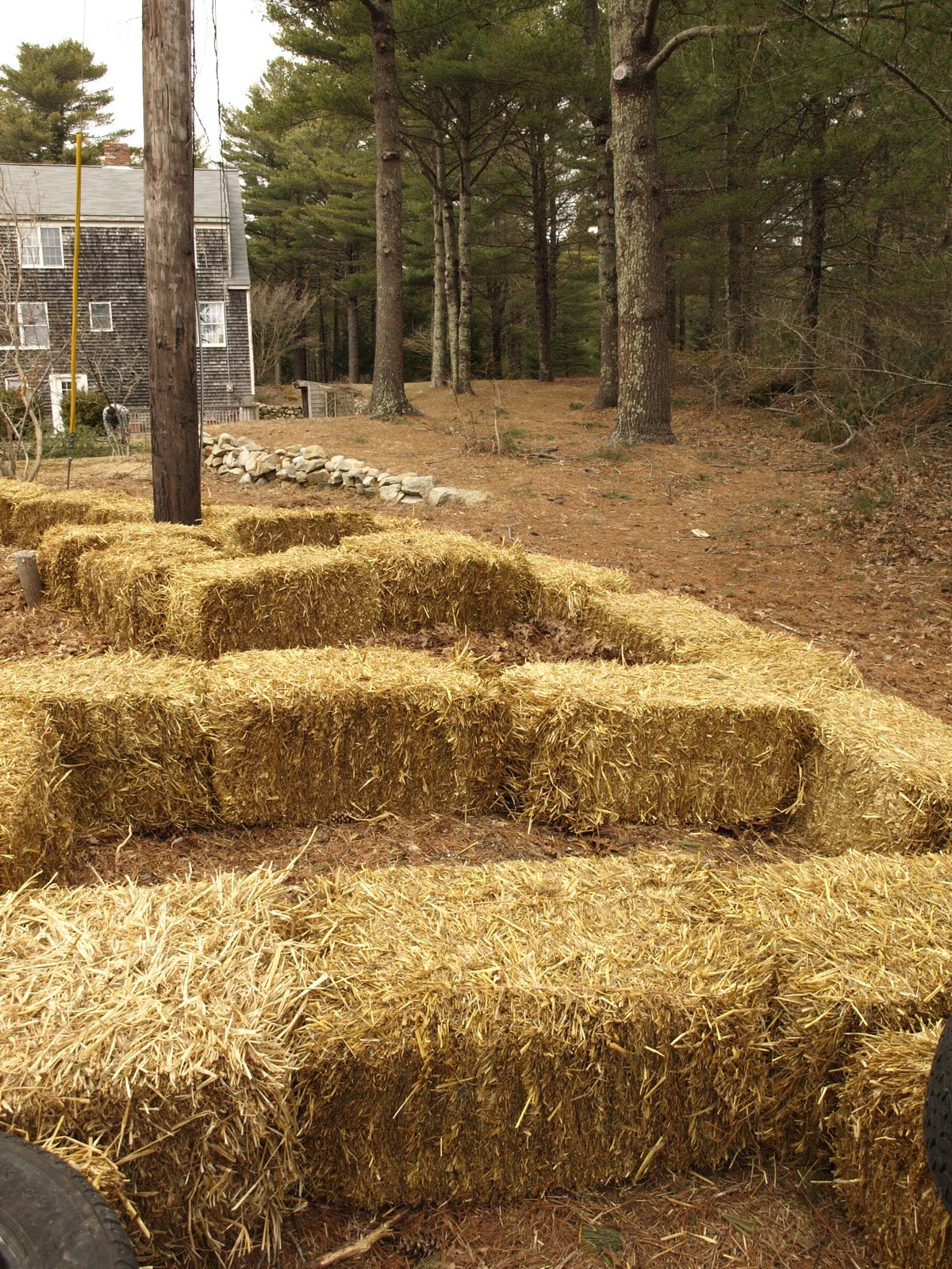 Hanley's Hedge Straw bale garden