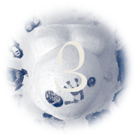 Fakt 3