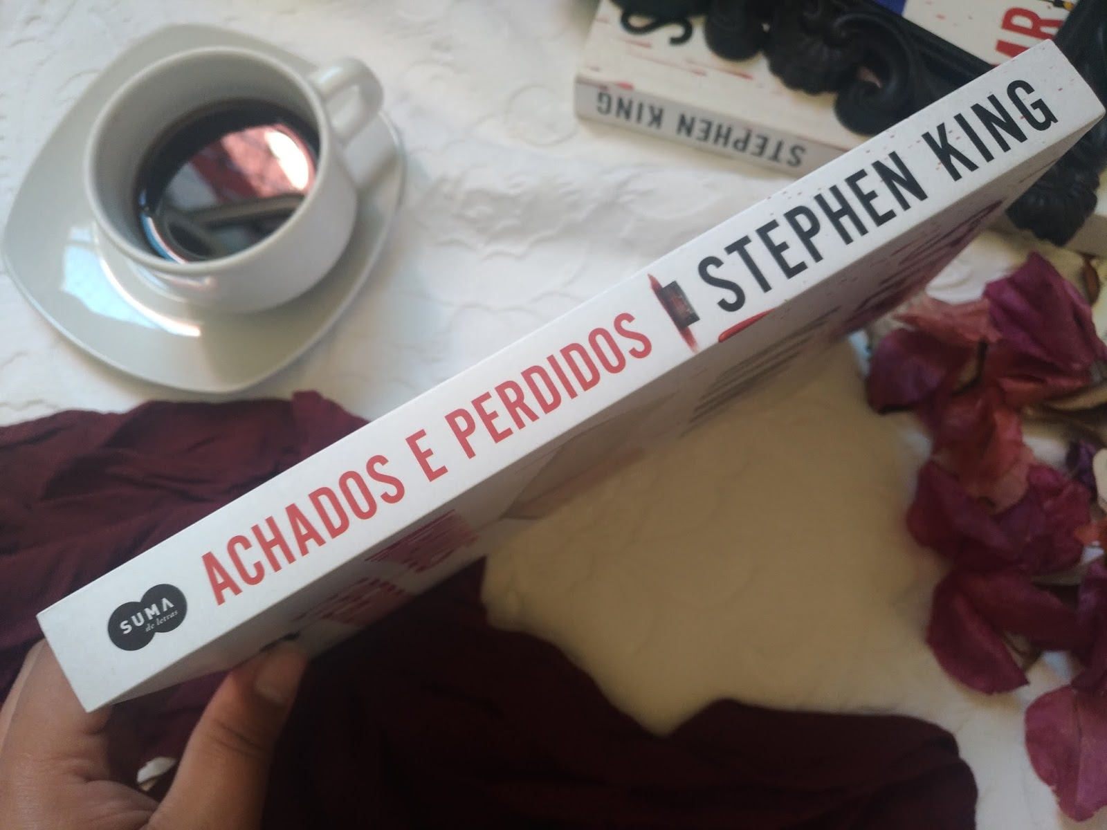 Achados E Perdidos (Bill Hodges #2) - Stephen King Assim King começa a história de Morris Bellamy. O gênio é John Rothstein, um autor consagrado que há muito abandonou o mundo literário. Bellamy é seu maior fã e seu maior crítico. Inconformado com o fim que o autor deu a seu personagem favorito, ele invade a casa de Rothstein e rouba os cadernos com produções inéditas do escritor, antes de matá-lo. Morris esconde os cadernos pouco antes de ser preso por outro crime. Décadas depois, é Peter Saubers, um garoto de treze anos, quem encontra o tesouro enterrado. Quando Morris é solto da prisão, depois de trinta e cinco anos, toda a família Saubers fica em perigo. Cabe ao ex-detetive Bill Hodges e a seus ajudantes, Holly e Jerome, protegê-los de um assassino agora ainda mais perigoso e vingativo.