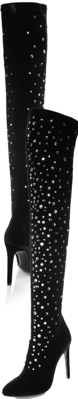 Giuseppe Zanotti Crystal Velvet Over-the-Knee Boots