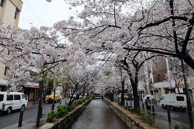 คลอง Takase-gawa Kyoto cherry blossom spot